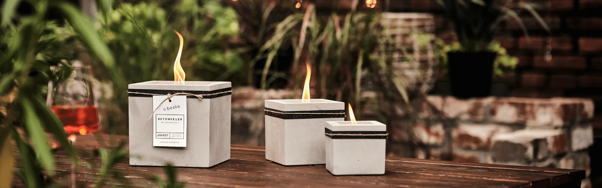 Stimmungsbild mit Kea, Fuego und Pico auf Tisch im Garten